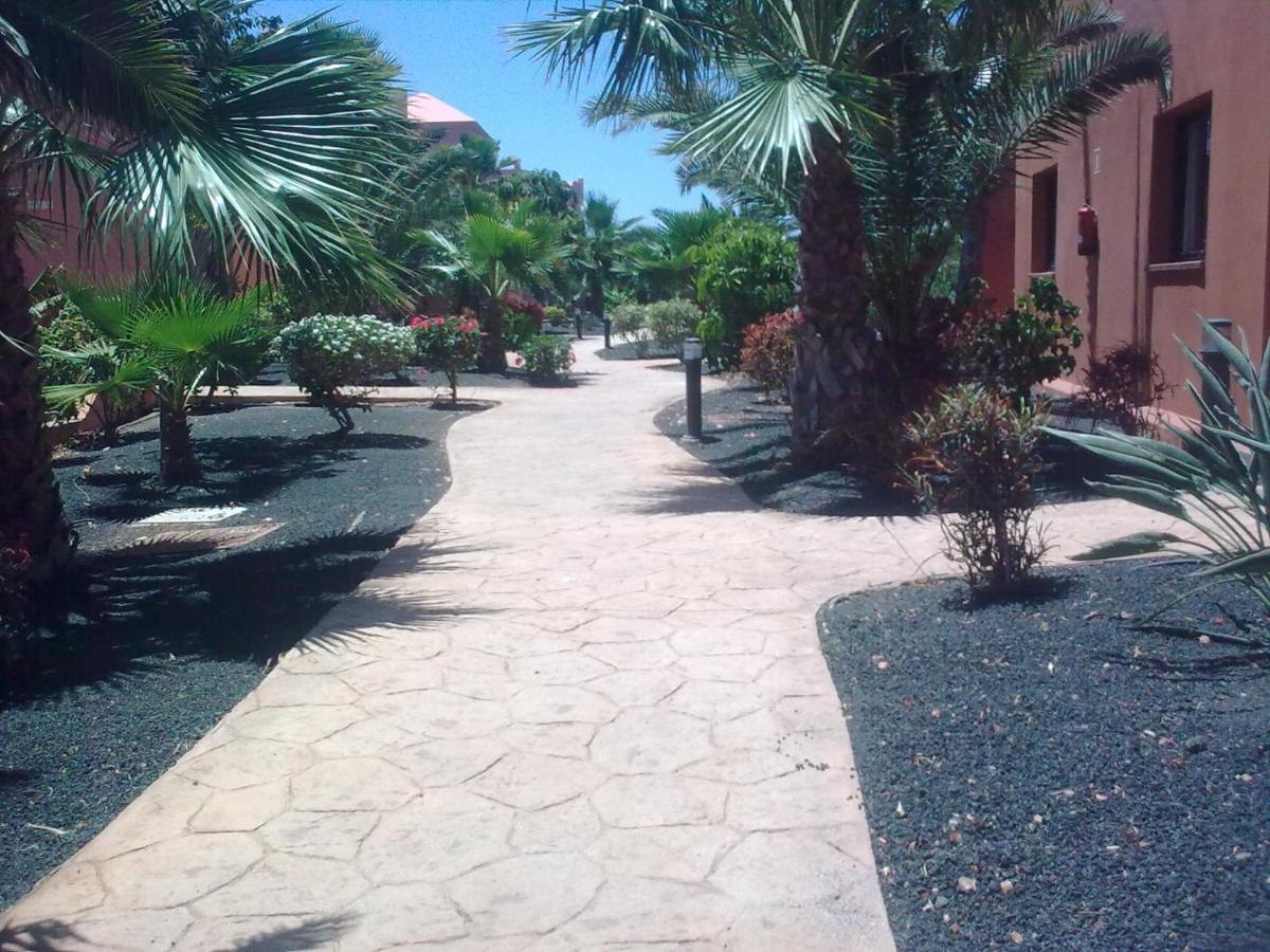 Tamarindo I piscinas de agua salada - fibra óptica Corralejo Exterior foto