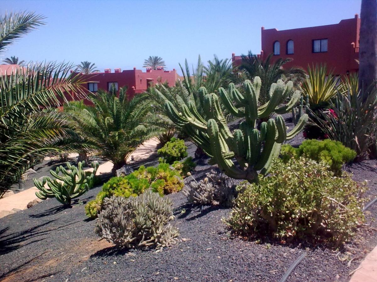 Tamarindo I piscinas de agua salada - fibra óptica Corralejo Exterior foto