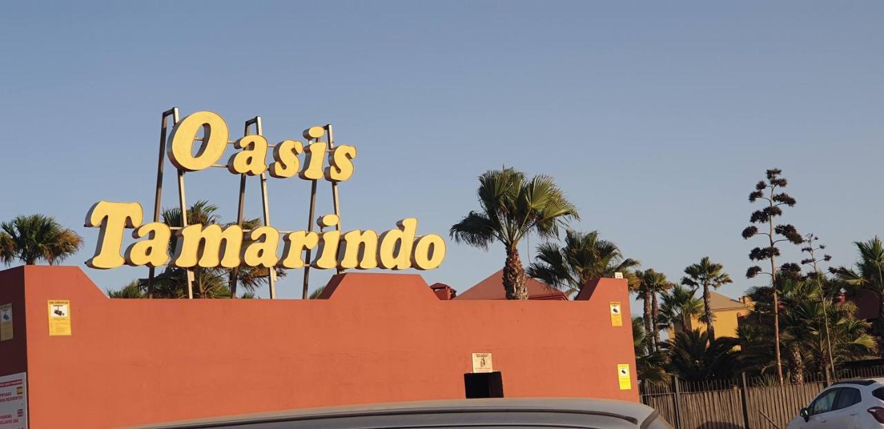 Tamarindo I piscinas de agua salada - fibra óptica Corralejo Exterior foto