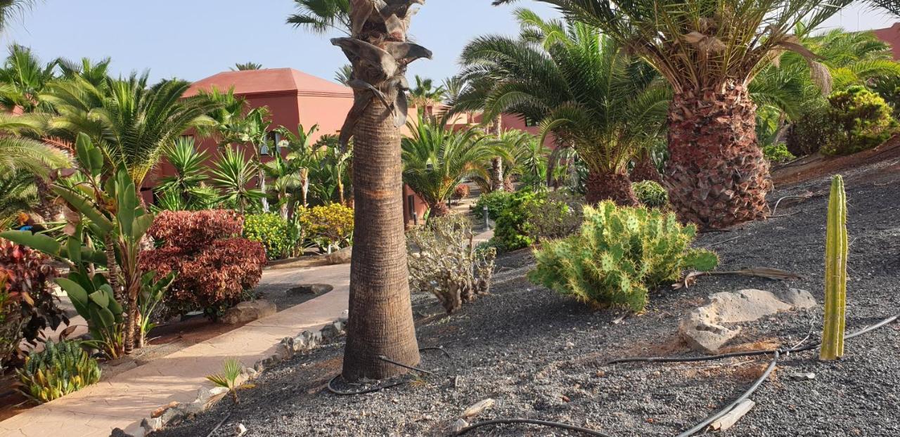 Tamarindo I piscinas de agua salada - fibra óptica Corralejo Exterior foto